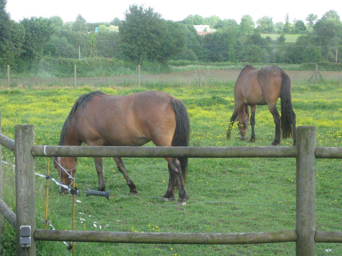 Chambre D'Hotes Proche Puy Du Fou Le Pin  外观 照片